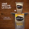 Just For Men Control GX Shampoo y Acondicionador Desvanecedor Canas,