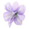 HONMEET Beach Floral Hair Clip Lily Flower Design Elegant Hair