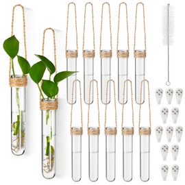 Baderke 12 Pack Plastic Hanging Propagation Tubes Propagation Station Vases Wall Hanging Plant Vase for Planters Hydroponic Office Garden Flowers Decor Lover Gift (Natural Color)