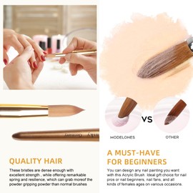 Acrylic Nail Brush Size 10, Kolinsky Acrylic Nail Brush for Acrylic Powder, Application Nail Art Drawing Brush for Extension Nails Carved for Beginners and Professionals (12#, Gold)