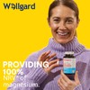 Wellgard Magnesium Glycinate, Mag 1200, Magnesium Bisglycinate Supplement, Sleep