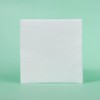 Duogalia Dust Free Paper Anti-static Lint-free Wipes 10x10cm Fiber Optic