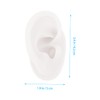 Operitacx Ear Model Realistic Ear for Piercing Exercise and Jewellery