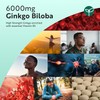 Nutravita Ginkgo Biloba 6000mg Vegan Tablets Enriched with Vitamin B5