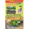 Leap Raupe Seedling Pot, Non-woven Pot, Non-woven Planter, Pot, No.