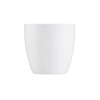Cooks Professional Stainless Steel Espresso Cups | Pack of 2