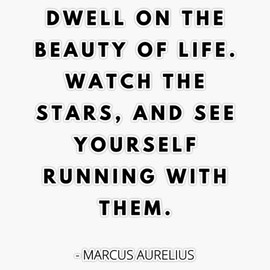 Dwell On The Beauty Of Life, Stoic Quote, Marcus Aurelius Bumper Sticker Vinyl Decal 5"