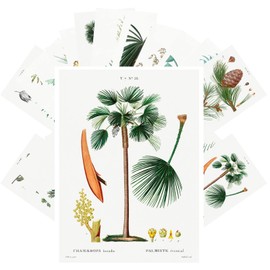 PIXILUV Vintage Postcards (24 pcs 4"x6" each) Palms and Pines Trees Vintage Botannical Books Illustrations by Redoute Retro Notecards Greeting Card Reprint