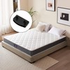 HANZMQIYJJ 12 Pcs Bed Slat Holders, Bed Slat Caps, Side
