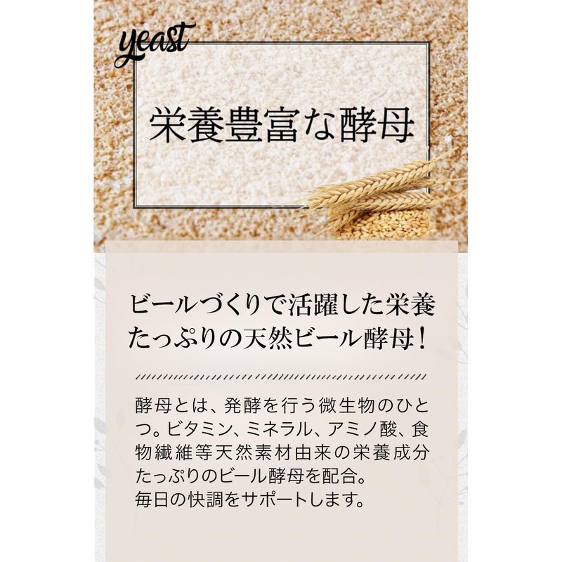 Ventuno Kaitomo Enzyme Plus Yeast DX 124 Capsules, Set of