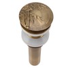 Pop Up Sink Drain Vintage Sink Vessel Drain Stopper Plant