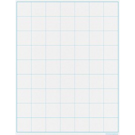 Teacher Created Resources Graphing Grid Large Squares Write-on/Wipe-off Chart