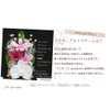 Art Four Seasons Phalaenopsis Denfare Dome Versus Design SET Pink