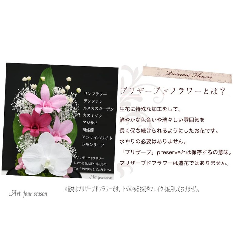 Art Four Seasons Phalaenopsis Denfare Dome Versus Design SET Pink