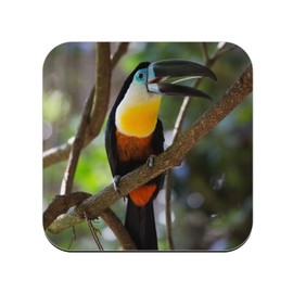 Cork Coaster - Toucan in Drill Wildlife Bird Jungle Wildlife - 1 Piece (95 x 95 mm)