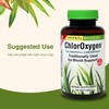 Herbs Etc. ChlorOxygen Chlorophyll Concentrate - Aids Healthy Blood Circulation