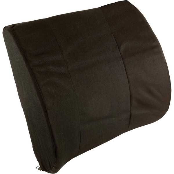 Roscoe Back Support For Office Chair, Contoured Lumbar Pillow and Chair Cushion, Back Pillow For Lower Back Pain and Lower Back Support
