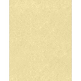 LUXPaper 8.5" x 11" Paper | Letter Size | Gold Parchment | 60lb. Text | 50 Qty