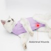 Cat Surgery Suit Surgical Cat Professional Recovery Suit for Abdominal