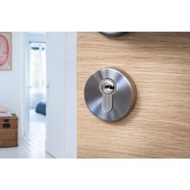 THIRARD - 30 x 60 mm Nickel Plated Cylinder - Transit 1 - Dimensions: 30 x 60 cm - Profile Cylinder - Transit - European Profile Brass 6 Pin Mechanism