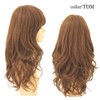 Priscilla A-663 All Wig, More Feminine Curl, Heat Resistant, TDM