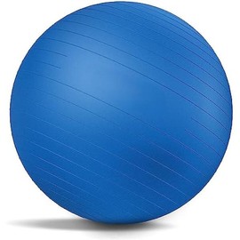 Yoga Ball Exercise Ball - Anti-Burst Stability Ball for Workouts, Physical Therapy, Balance Ball Chair, Home Gym Fitness - Color: Blue, Size: M(22ines/55cm/No Pump)