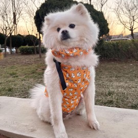 Cooling Collar for Dogs,Outdoor Cold Pet Scarf - Heat Relief Puppy Vest for Outdoor Walking Running, Cooling Kitten Bandana