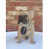 Vivid Arts (Sitting French Golden Bulldog