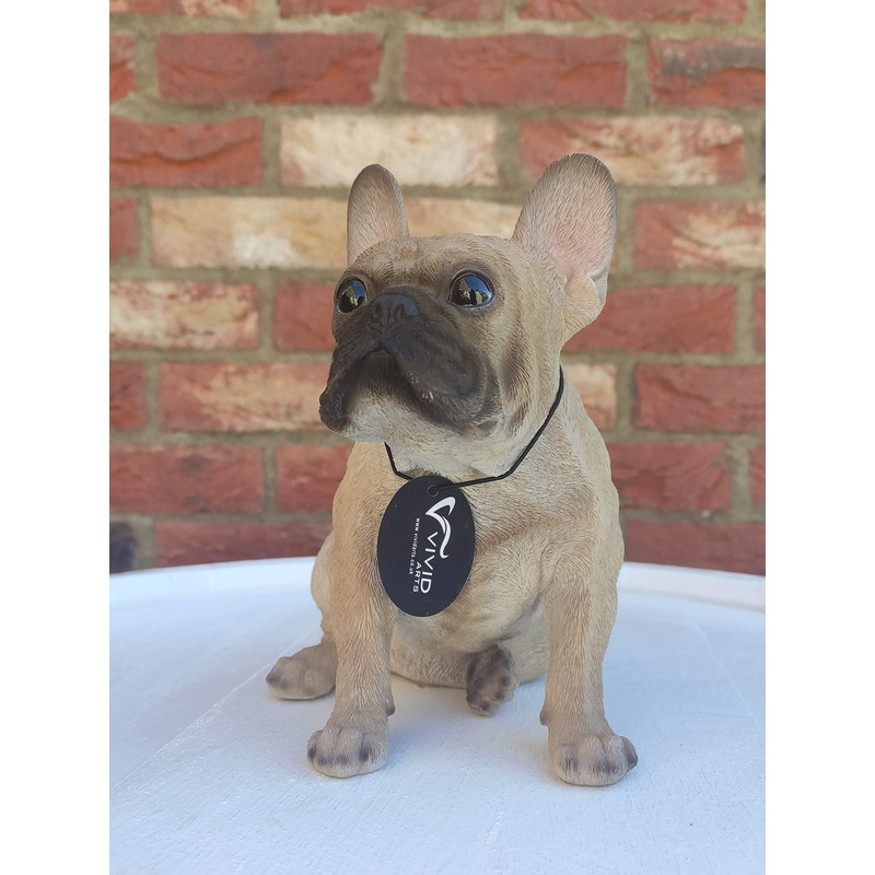 Vivid Arts (Sitting French Golden Bulldog