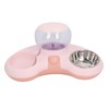 Double Cat Bowls Pet Food and Water Bowl Set Tilted