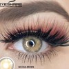 Eyelash set for DIY use lashes eyelashes tool:_Alps gray