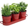 MoFarbe Herb Pots for Kitchen & Windowsill | Kitchen Herb