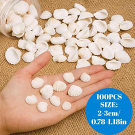 HcvGcm 100 Natural White Shells for Crafts, 2-3 cm Shells Decoration for DIY Jewellery, Wedding, Party, Aquarium and Home Decoration, Shells for Painting