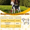 Dog Carrier: Dog Carrier - Full Body Leader with Handle