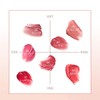 HOLIKA HOLIKA Melting Blur Lip Pot 05 Wrestling: Smooth, Melting,