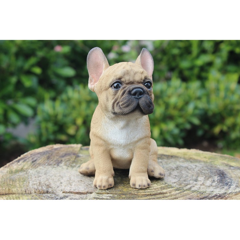 Vivid Arts Small French Bulldog