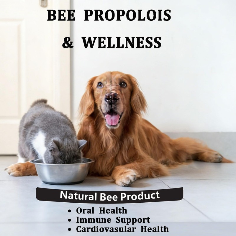 Bee Propolis for Dogs & Cats, Daily Immune System Support,