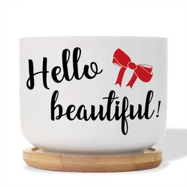 DecStic Hello Beautiful Ceramic Planter Bible Verse Planters for Outdoor Plants with Drainage Holes and Saucers Pot for Home Office Decoration