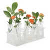 10Pcs 60ML Floral Tubes, Large Flower Water Tubes for Milkweed