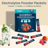 Sooergy Electrolytes Powder Packets Sugar Free Hydration Packets, Liquid Daily