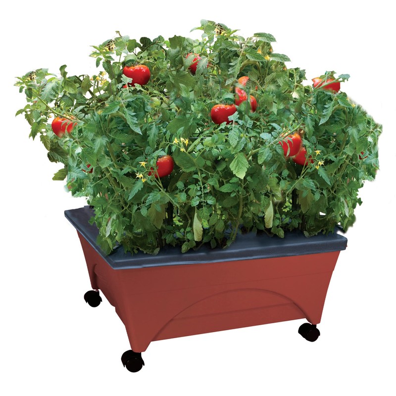 Emsco Group Bountiful Harvest Raised Bed Grow Box – Self
