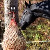GAITWIN Cross Tie Ring for Horses, Block Tie Hitching Ring