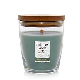 WoodWick Nature's Wick Succulent Jade Scented Candle, 10oz with Wooden Lid, Crackles at it Burns, Fall