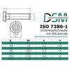 Rounded Head Screw with Hexagon Socket (ISK) According to Standard: