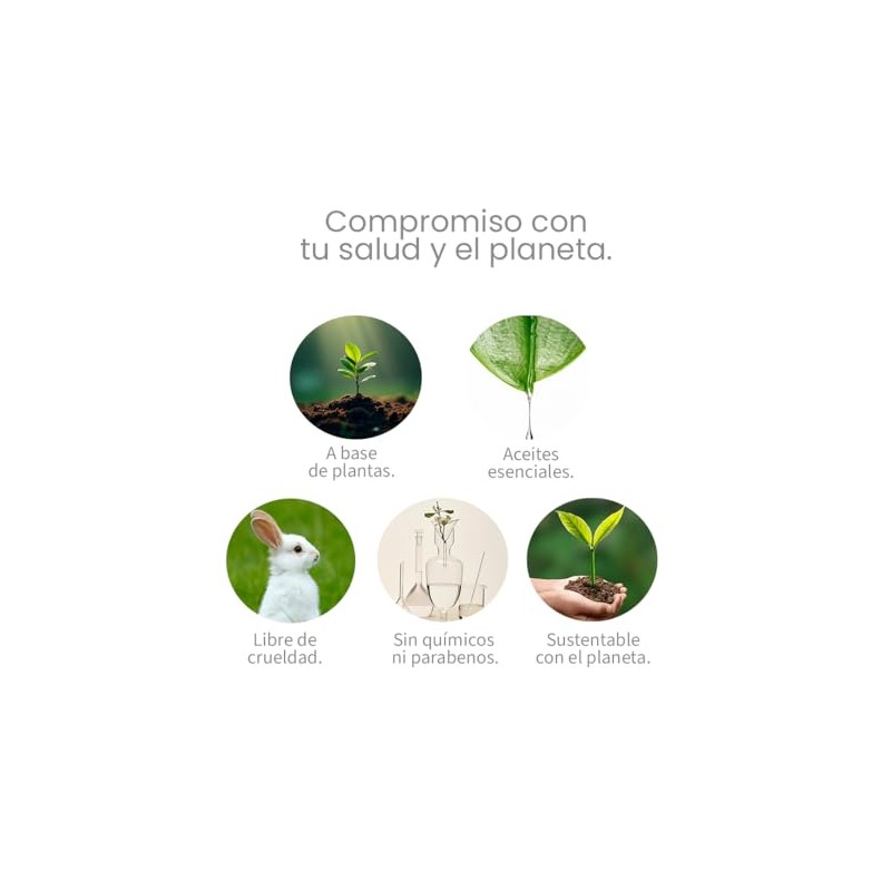 Natural Crema Corporal Facial Hidratante Orgánica Vegana Body Lotion Parabenos