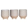 Sass & Belle Japandi Mini Planters - Pack of 3