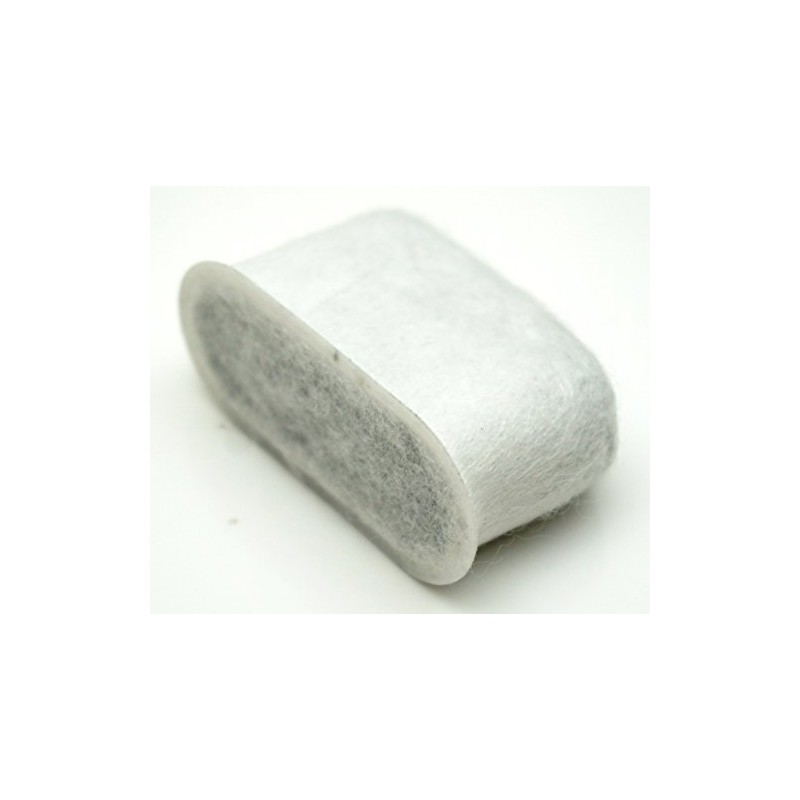 Delonghi 7313285779 Carbon Filter