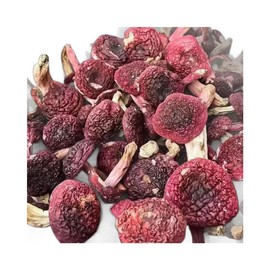 CHLYAET Dried Russula Red Mushroom Honggu (100g)