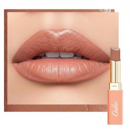 Oulac Brown Lipsticks for Women, Orange Matte Lip Stick, Full Coverage Lip Color, Satin Matte Finish, Cream Texture, Hydrating, Infused with Hyaluronic Acid, Vegan & Clean Beauty 4g SG05 Body Talk