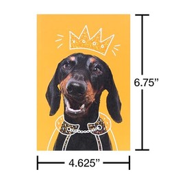 American Greetings Caja de surtido de tarjetas en blanco y sobres, perros divertidos, 15 unidades